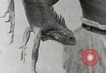 Standbild Local Menschen Trinidad, 1936, aus Sekunde 15 historischem Filmmaterial Videoclip 65675067693