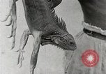 Standbild Local Menschen Trinidad, 1936, aus Sekunde 17 historischem Filmmaterial Videoclip 65675067693