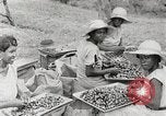 Standbild Local Menschen Trinidad, 1936, aus Sekunde 22 historischem Filmmaterial Videoclip 65675067693