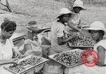Standbild Local Menschen Trinidad, 1936, aus Sekunde 23 historischem Filmmaterial Videoclip 65675067693