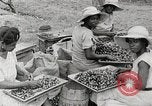 Standbild Local Menschen Trinidad, 1936, aus Sekunde 24 historischem Filmmaterial Videoclip 65675067693