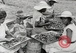 Standbild Local Menschen Trinidad, 1936, aus Sekunde 25 historischem Filmmaterial Videoclip 65675067693