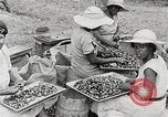 Standbild Local Menschen Trinidad, 1936, aus Sekunde 26 historischem Filmmaterial Videoclip 65675067693