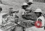 Standbild Local Menschen Trinidad, 1936, aus Sekunde 27 historischem Filmmaterial Videoclip 65675067693