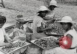 Standbild Local Menschen Trinidad, 1936, aus Sekunde 28 historischem Filmmaterial Videoclip 65675067693