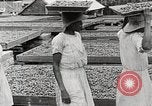 Standbild Local Menschen Trinidad, 1936, aus Sekunde 29 historischem Filmmaterial Videoclip 65675067693