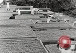 Standbild Local Menschen Trinidad, 1936, aus Sekunde 39 historischem Filmmaterial Videoclip 65675067693