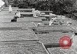 Standbild Local Menschen Trinidad, 1936, aus Sekunde 40 historischem Filmmaterial Videoclip 65675067693