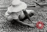 Standbild Local Menschen Trinidad, 1936, aus Sekunde 42 historischem Filmmaterial Videoclip 65675067693