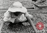 Standbild Local Menschen Trinidad, 1936, aus Sekunde 43 historischem Filmmaterial Videoclip 65675067693