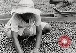 Standbild Local Menschen Trinidad, 1936, aus Sekunde 44 historischem Filmmaterial Videoclip 65675067693