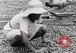 Standbild Local Menschen Trinidad, 1936, aus Sekunde 45 historischem Filmmaterial Videoclip 65675067693