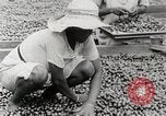 Standbild Local Menschen Trinidad, 1936, aus Sekunde 46 historischem Filmmaterial Videoclip 65675067693