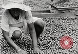 Standbild Local Menschen Trinidad, 1936, aus Sekunde 48 historischem Filmmaterial Videoclip 65675067693