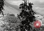 Standbild das Städtische Theater und Zentralen Universität in Caracas Caracas Venezuela, 1936, aus Sekunde 12 historischem Filmmaterial Videoclip 65675067695