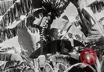 Immagine di Giardini in Kingston Kingston in Giamaica, 1936, secondo 11 filmato di repertorio 65675067698