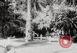 Immagine di Giardini in Kingston Kingston in Giamaica, 1936, secondo 26 filmato di repertorio 65675067698