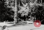 Immagine di Giardini in Kingston Kingston in Giamaica, 1936, secondo 27 filmato di repertorio 65675067698
