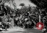 Immagine di Giardini in Kingston Kingston in Giamaica, 1936, secondo 28 filmato di repertorio 65675067698