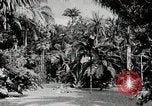 Immagine di Giardini in Kingston Kingston in Giamaica, 1936, secondo 29 filmato di repertorio 65675067698