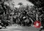 Immagine di Giardini in Kingston Kingston in Giamaica, 1936, secondo 30 filmato di repertorio 65675067698