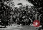 Immagine di Giardini in Kingston Kingston in Giamaica, 1936, secondo 31 filmato di repertorio 65675067698
