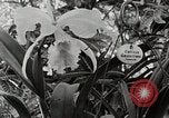 Immagine di Giardini in Kingston Kingston in Giamaica, 1936, secondo 39 filmato di repertorio 65675067698