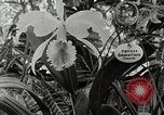 Immagine di Giardini in Kingston Kingston in Giamaica, 1936, secondo 41 filmato di repertorio 65675067698