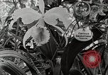 Immagine di Giardini in Kingston Kingston in Giamaica, 1936, secondo 42 filmato di repertorio 65675067698