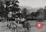 Image personnes shopping Kingston Jamaïque, 1936, de la seconde 4 séquences d'archives historiques vidéo 65675067699