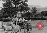 Image personnes shopping Kingston Jamaïque, 1936, de la seconde 5 séquences d'archives historiques vidéo 65675067699