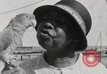 Image personnes shopping Kingston Jamaïque, 1936, de la seconde 30 séquences d'archives historiques vidéo 65675067699