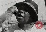 Image personnes shopping Kingston Jamaïque, 1936, de la seconde 33 séquences d'archives historiques vidéo 65675067699