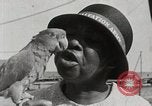 Image personnes shopping Kingston Jamaïque, 1936, de la seconde 36 séquences d'archives historiques vidéo 65675067699
