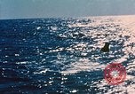 Image of Mercury-Atlas 6 United States USA, 1962, second 19 stock footage video 65675067718