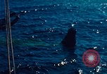 Image of Mercury-Atlas 6 United States USA, 1962, second 26 stock footage video 65675067718