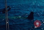 Image of Mercury-Atlas 6 United States USA, 1962, second 27 stock footage video 65675067718