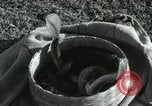 Image of Indian people India, 1961, second 6 stock footage video 65675067722