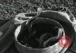 Image of Indian people India, 1961, second 7 stock footage video 65675067722