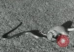 Image of Indian people India, 1961, second 17 stock footage video 65675067722
