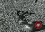 Image of Indian people India, 1961, second 21 stock footage video 65675067722