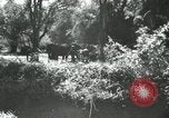 Image of farm activities India, 1961, second 1 stock footage video 65675067723
