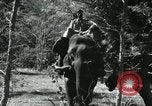 Image of farm activities India, 1961, second 4 stock footage video 65675067723