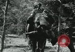 Image of farm activities India, 1961, second 5 stock footage video 65675067723