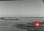 Image of farm activities India, 1961, second 19 stock footage video 65675067723