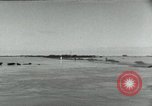 Image of farm activities India, 1961, second 21 stock footage video 65675067723