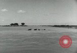 Image of farm activities India, 1961, second 22 stock footage video 65675067723