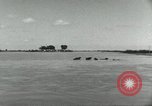Image of farm activities India, 1961, second 23 stock footage video 65675067723