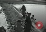 Image of Farm activities India, 1961, second 3 stock footage video 65675067724