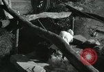 Image of Farm activities India, 1961, second 11 stock footage video 65675067724